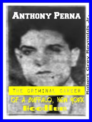 cover image of Anthony Perna the Criminal Career of a Buffalo, New York Hoodlum